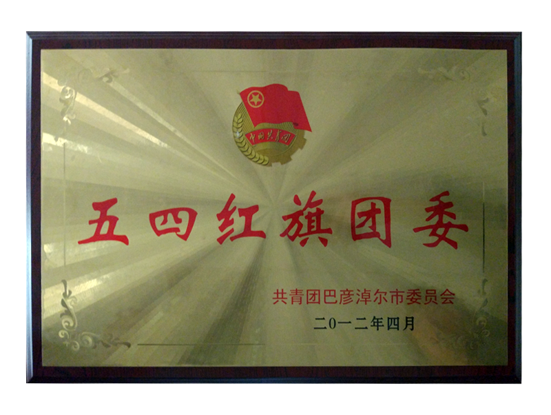 五四紅旗團(tuán)委.png