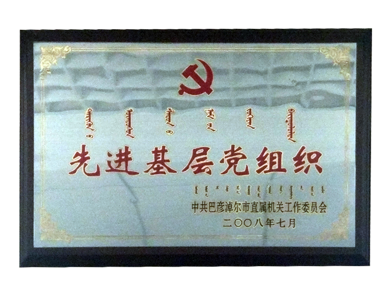 先進基層黨組織.png