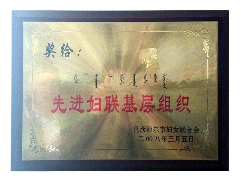 先進(jìn)婦聯(lián)基層黨組織.png